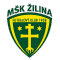 Жилина (Словакия)