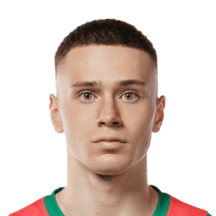 Михаил Ведищев