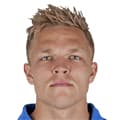 Мик ван Бурен